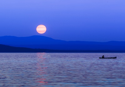 Meet Champ: New England's Resident Lake Monster