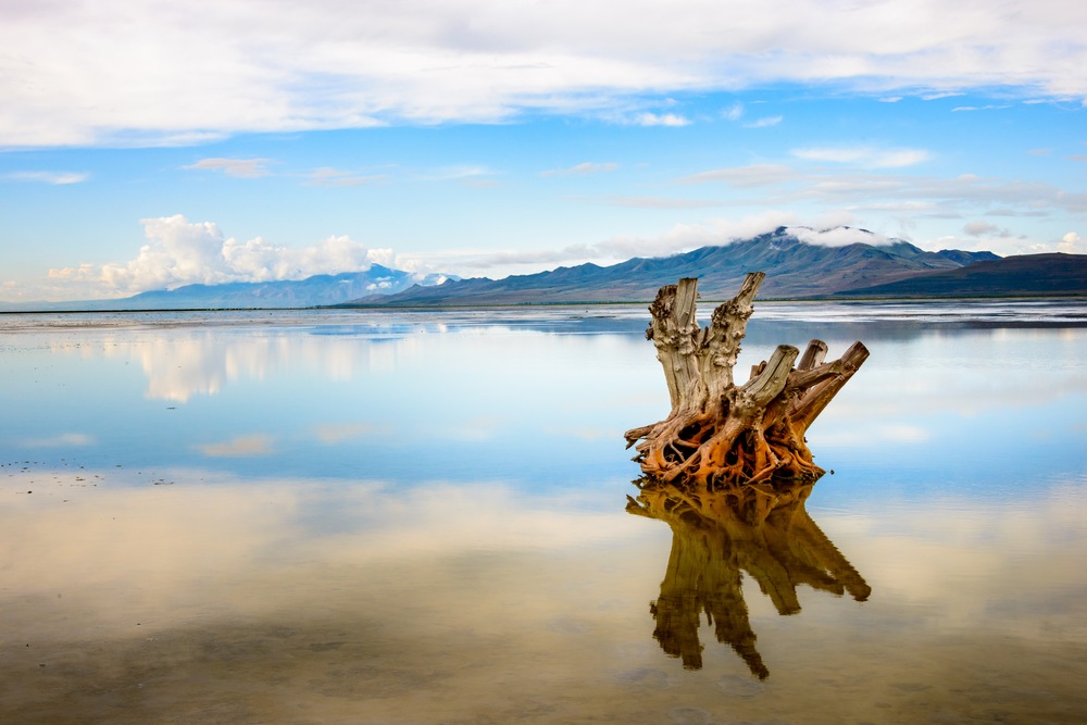 Inside Antelope Island: A Vestige of Prehistory