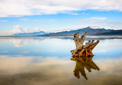 Inside Antelope Island: A Vestige of Prehistory