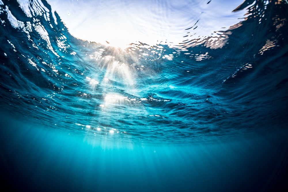 From Fresh to Seawater Boating Adventures