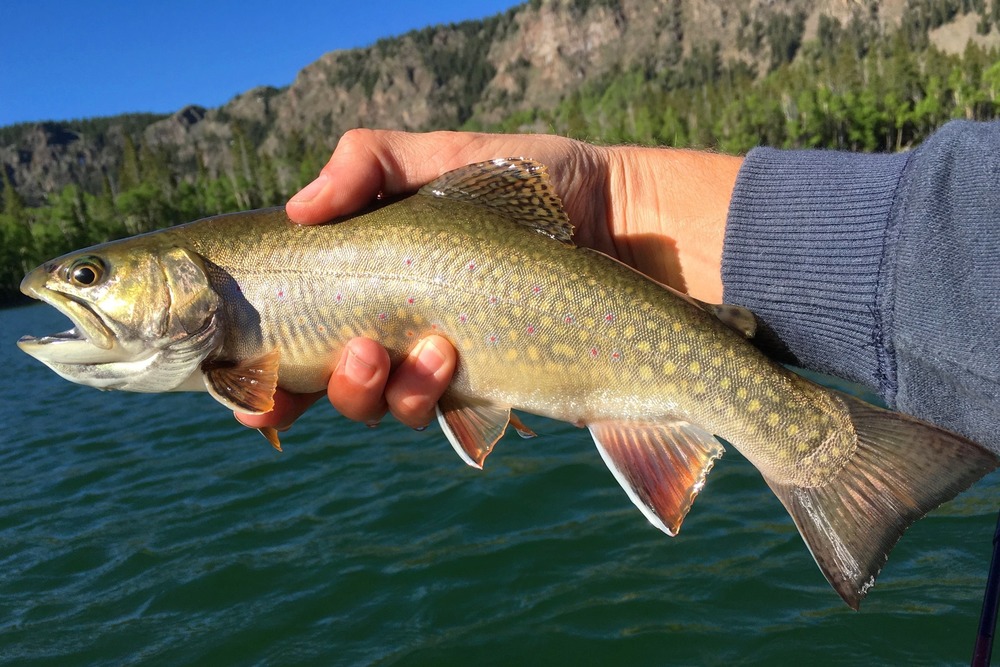 Exploring Fish Lake