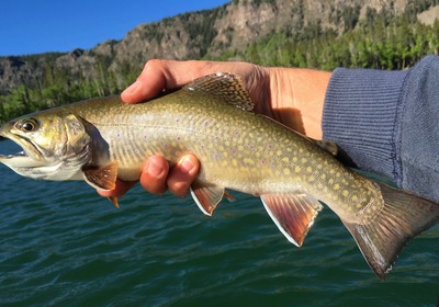 Exploring Fish Lake