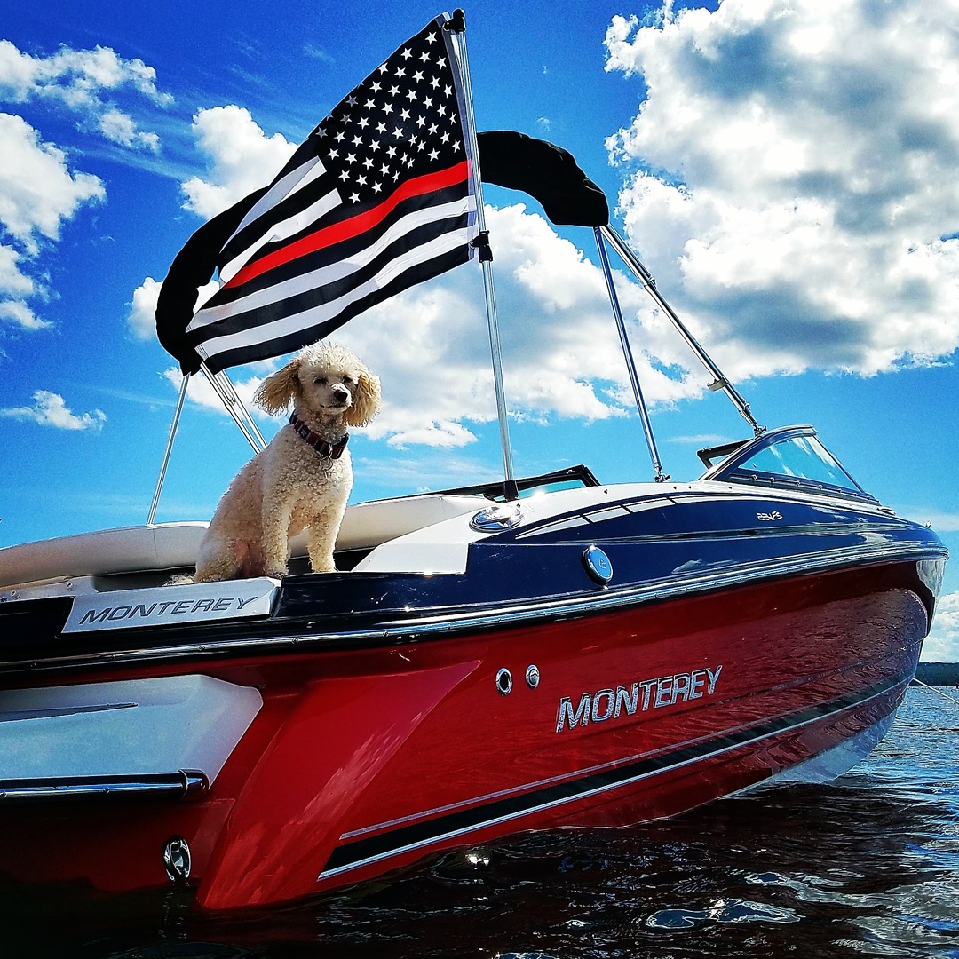 Boats | Sport Boats | Sport Yachts | Cruising Yachts 